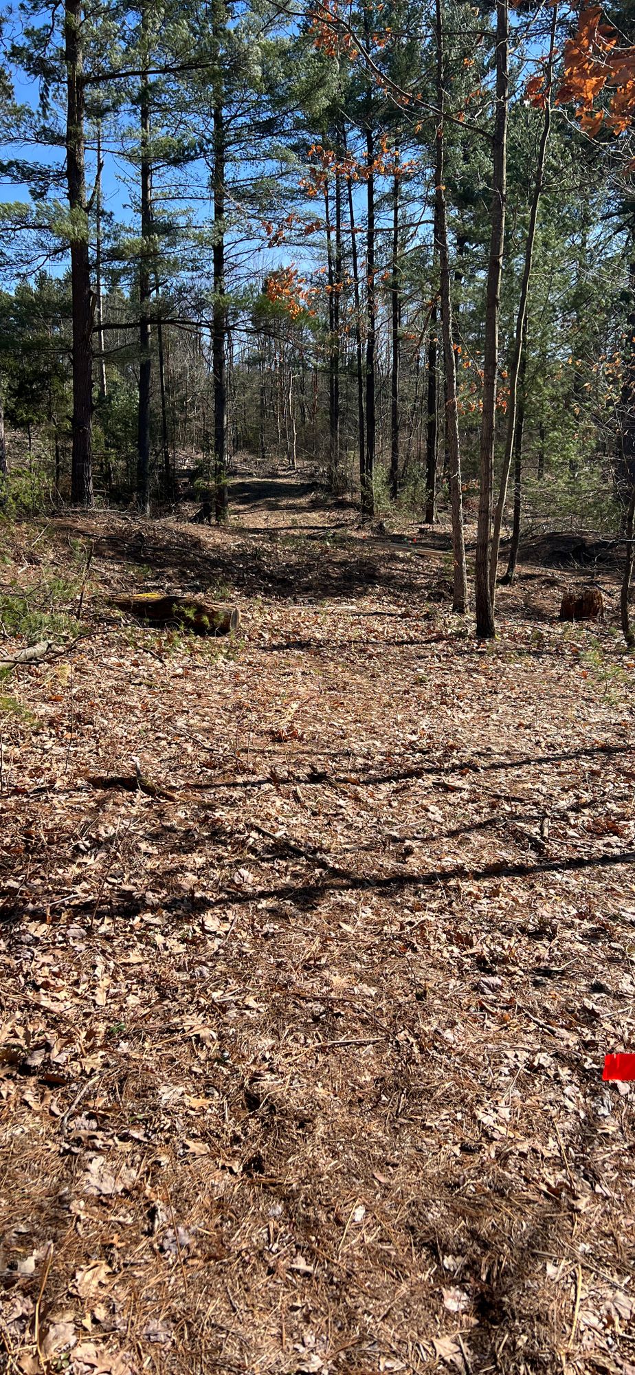 Hole 11 Tee