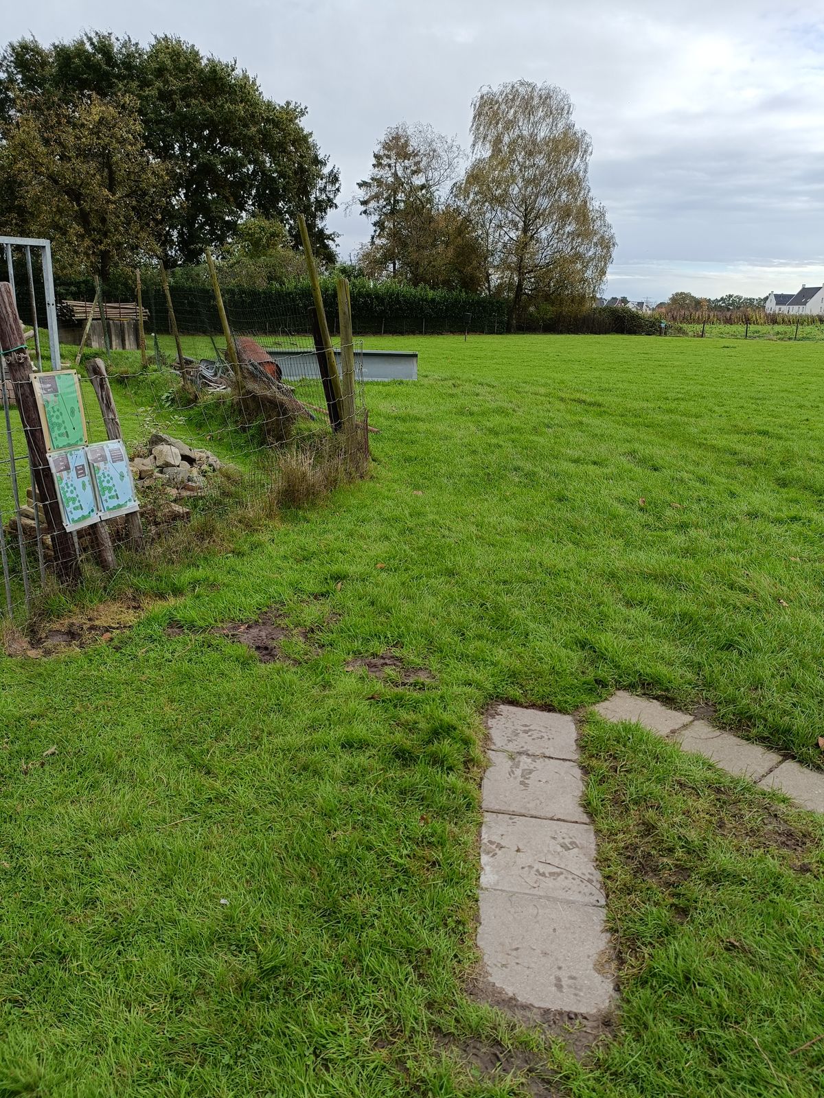 Teepad hole 10