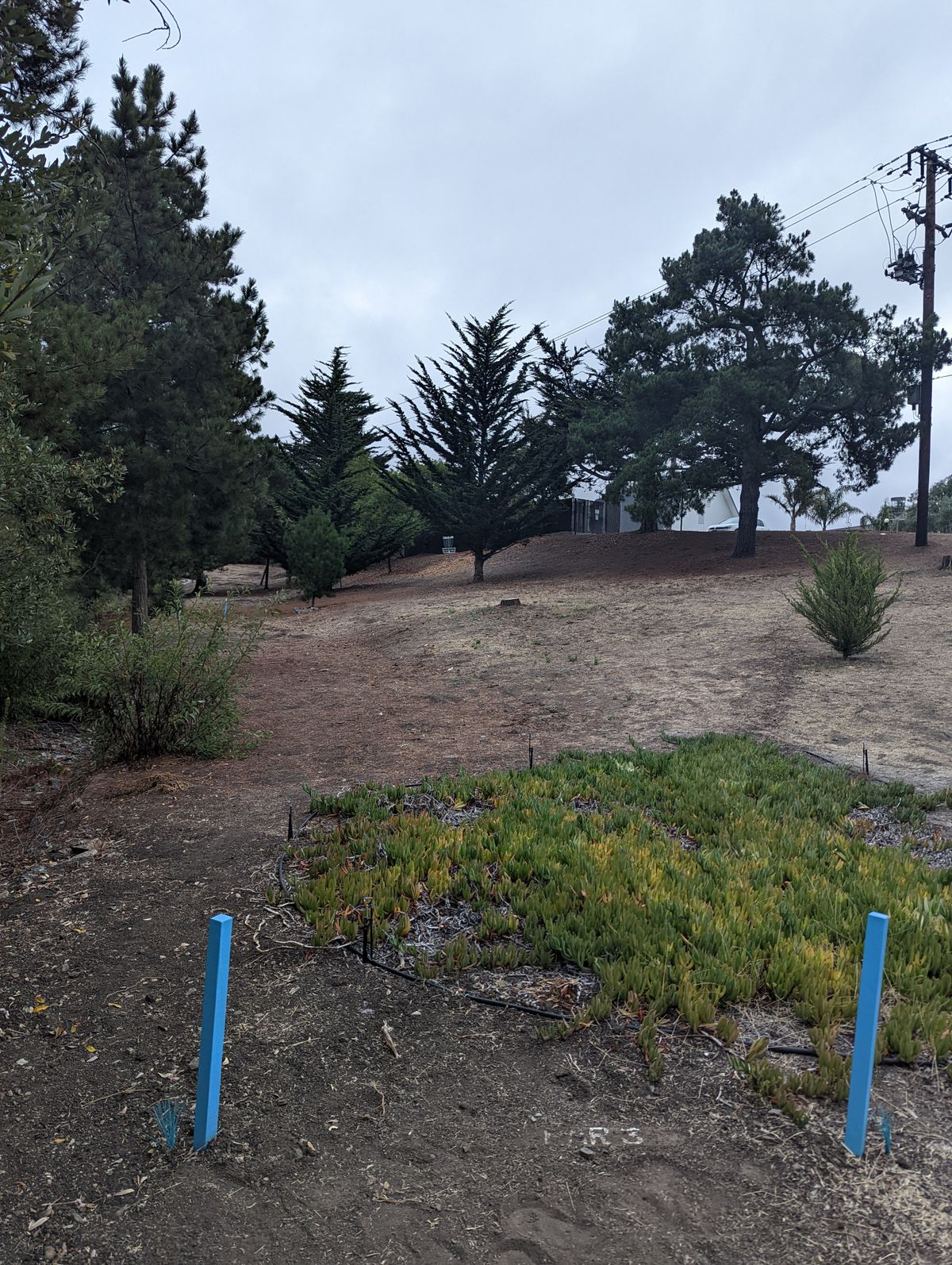 Hole 8 Tee pad view