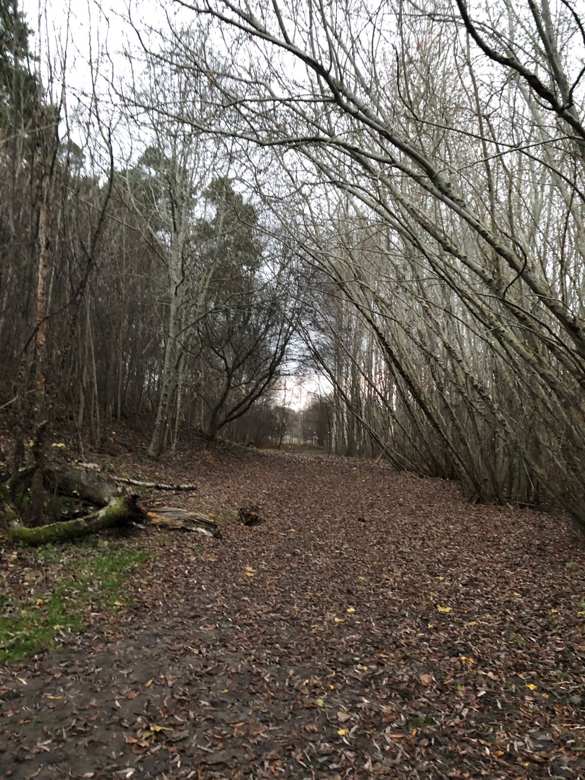 Hole 9 in november