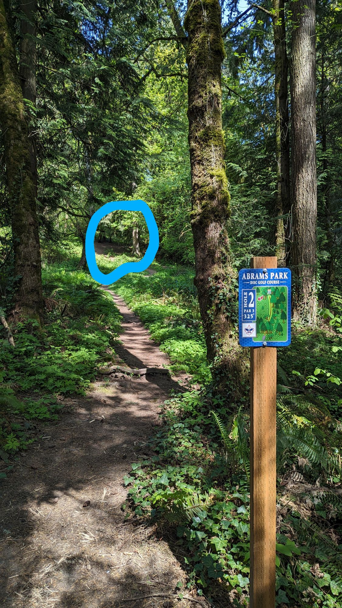 Hole 2
