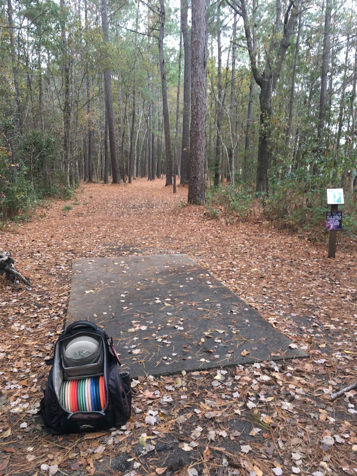 Hole 9 at socastee