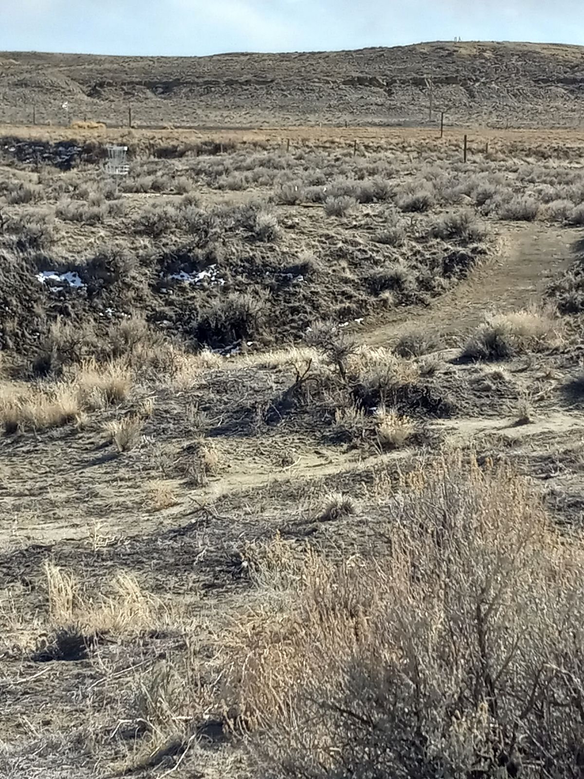 Hole 8: The picture is taken midrange looking towards the basket.