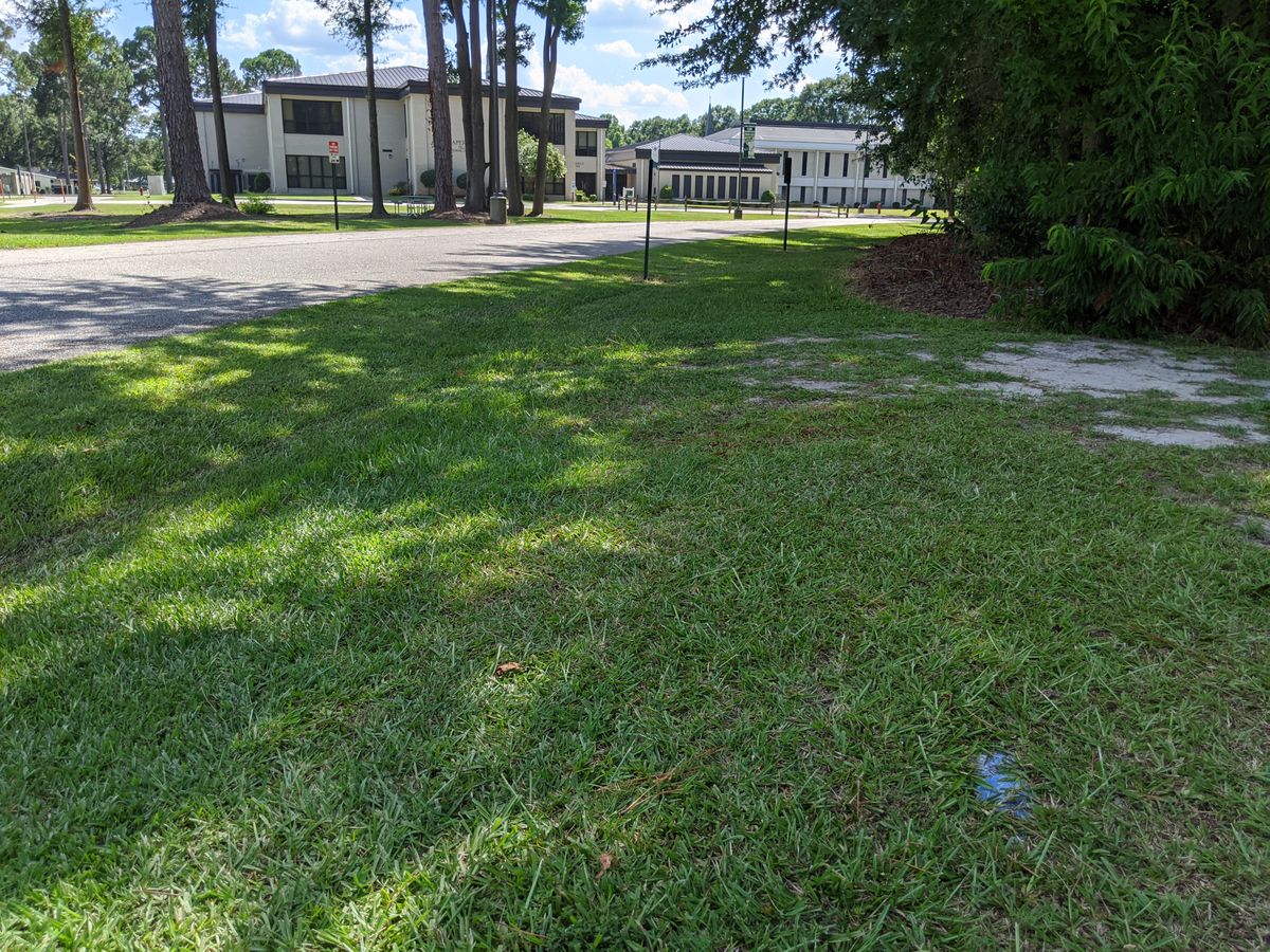 Hole 7 Tee Pad