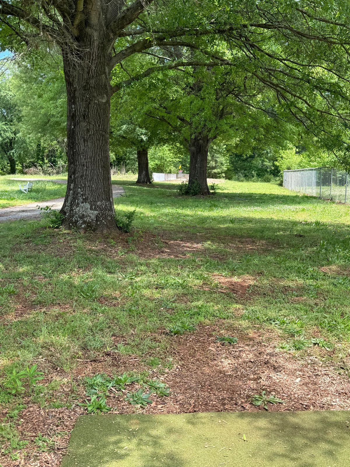 Hole 7 - 221’