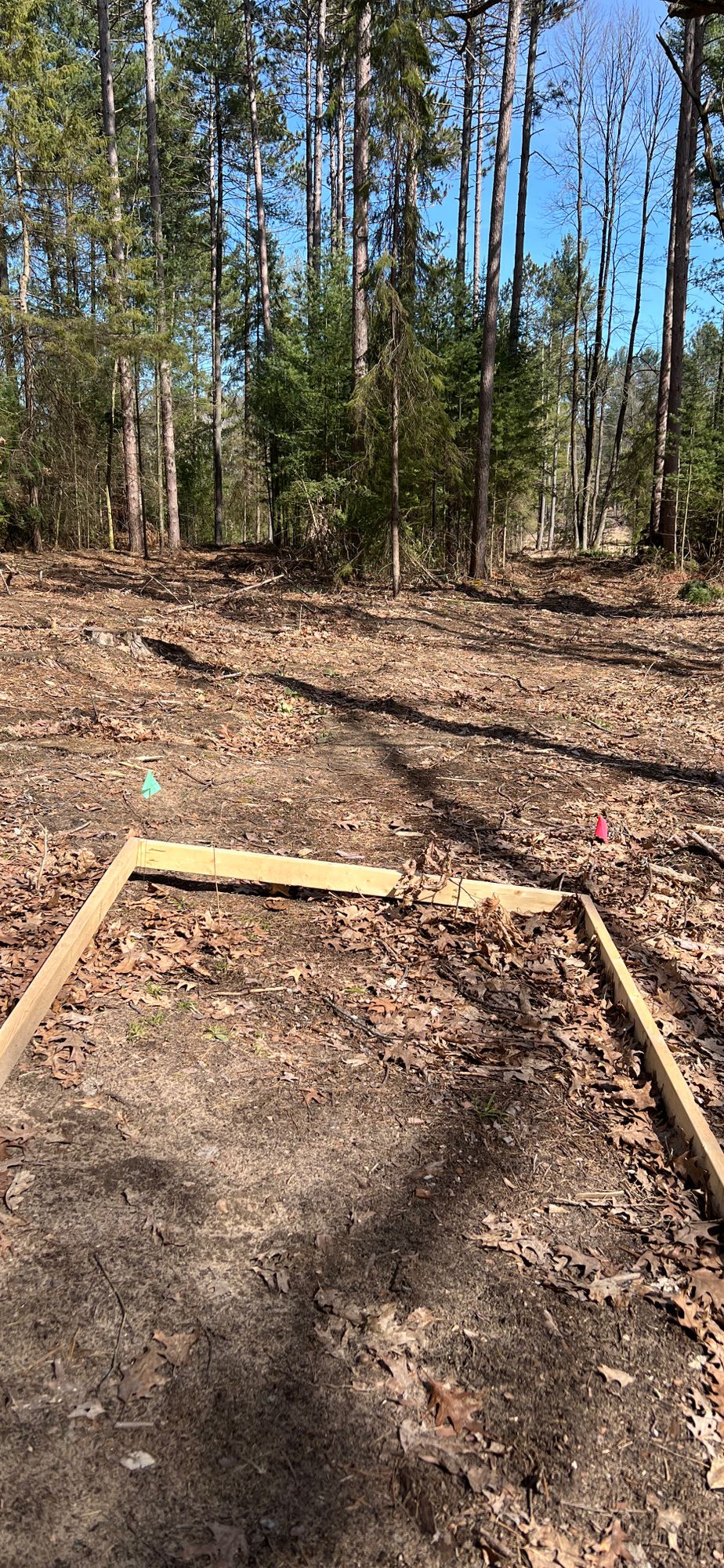 Hole 2 Tee