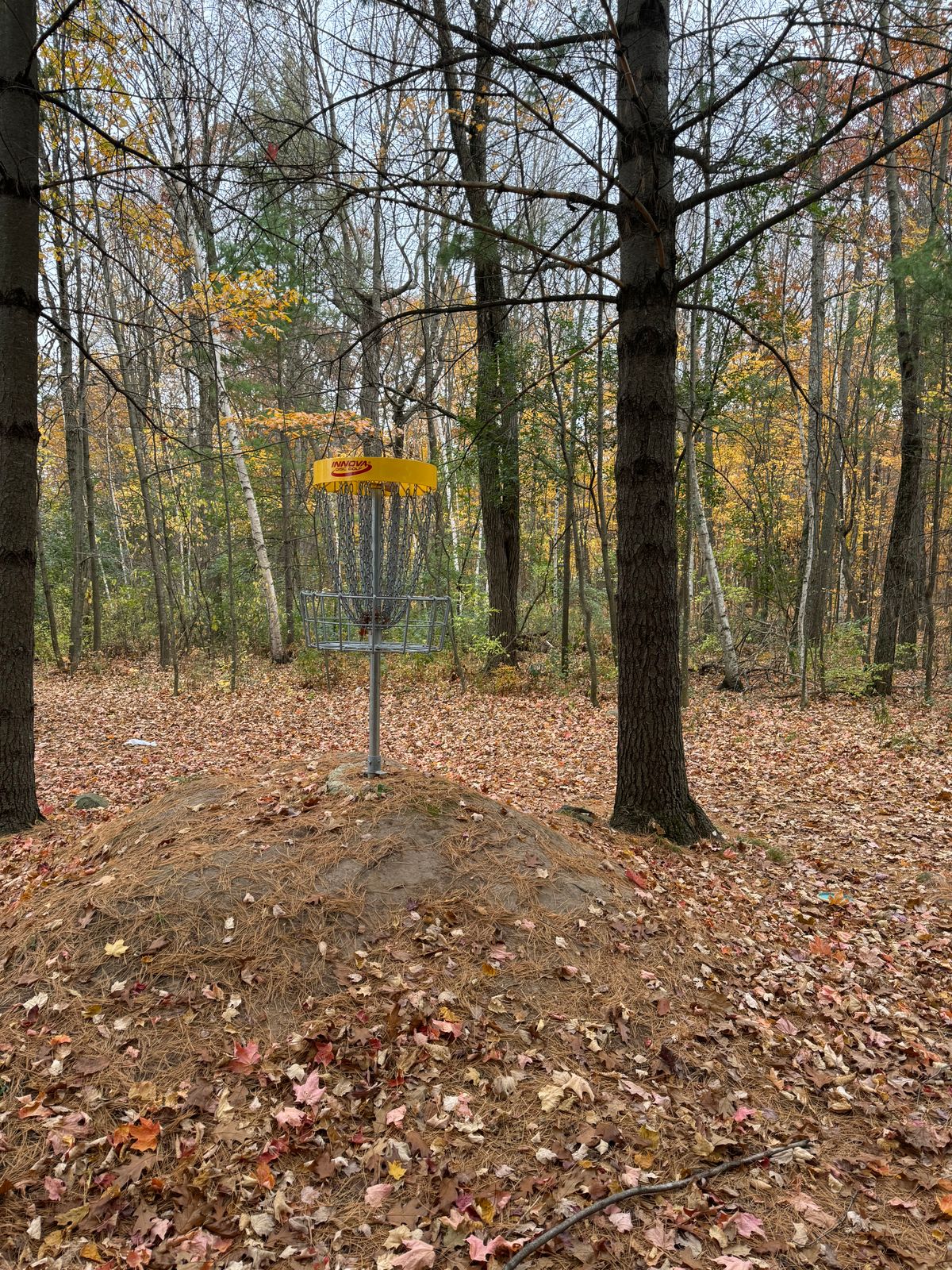 Hole twos raised basket