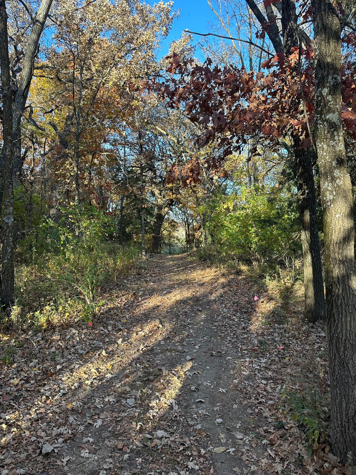 Hole 6. Mando between the signs. Drop zone to rt in-line with large tree. Hard dogleg left.