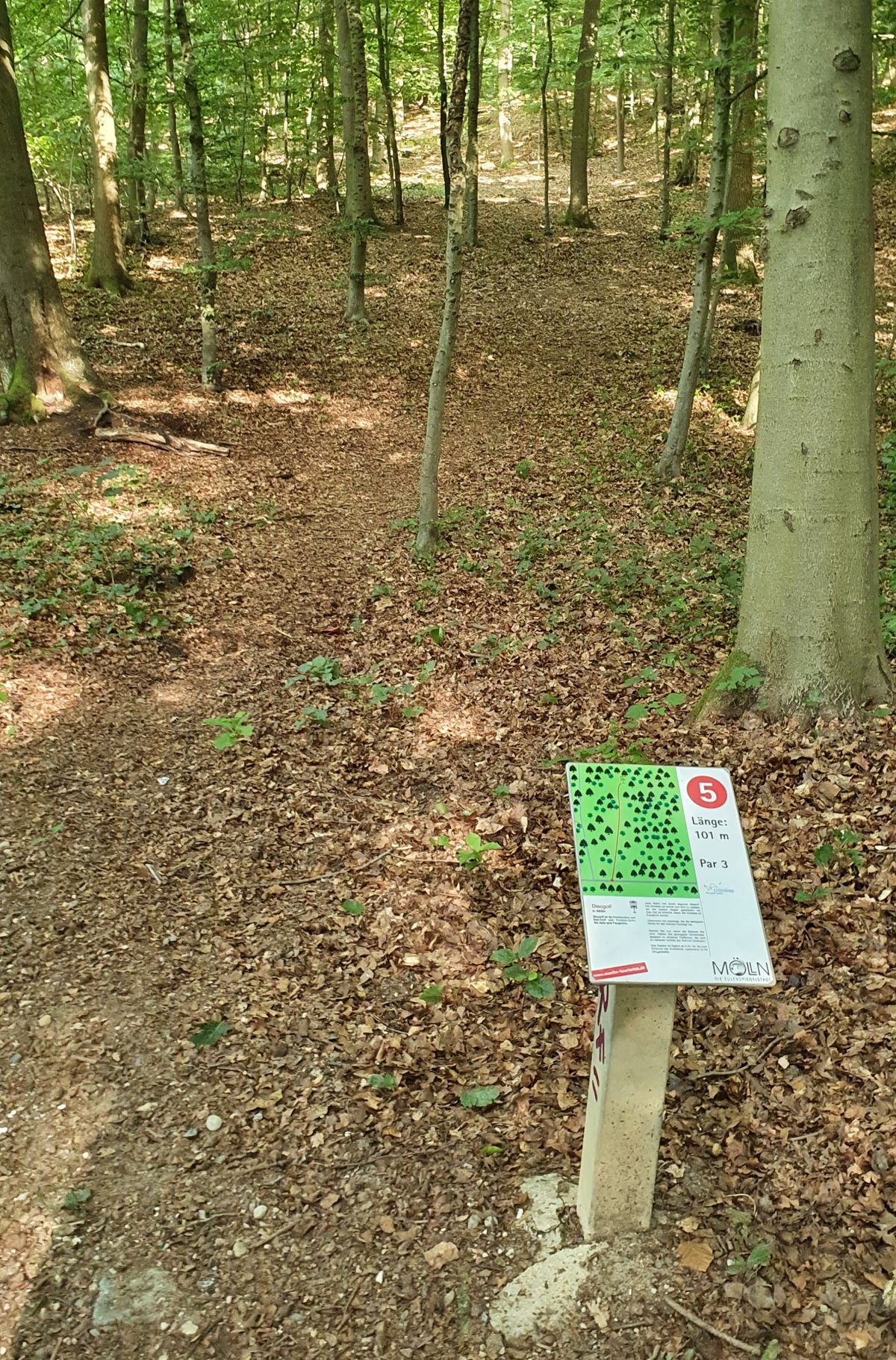 Bahn 5