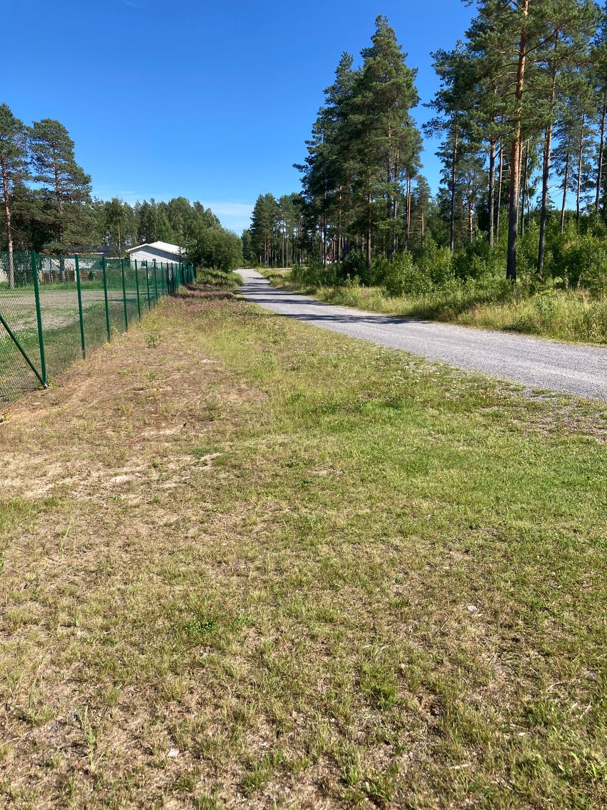 Tee 3