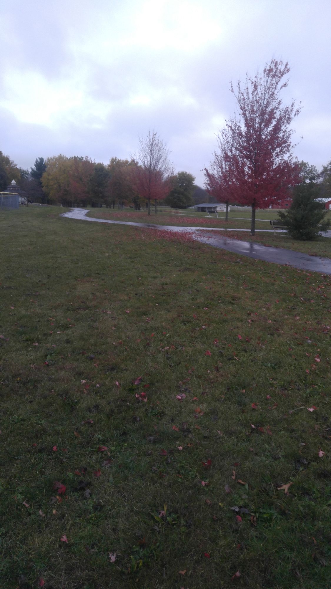 Hole 5