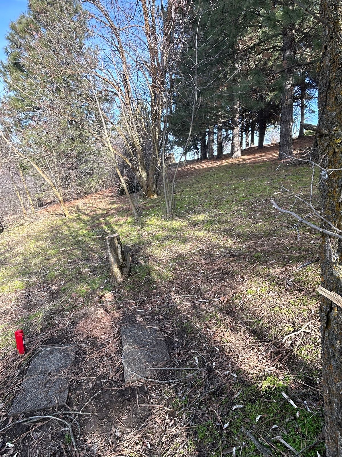 Hole #12. 113’. Forehand if ya got it! Hit the gap!