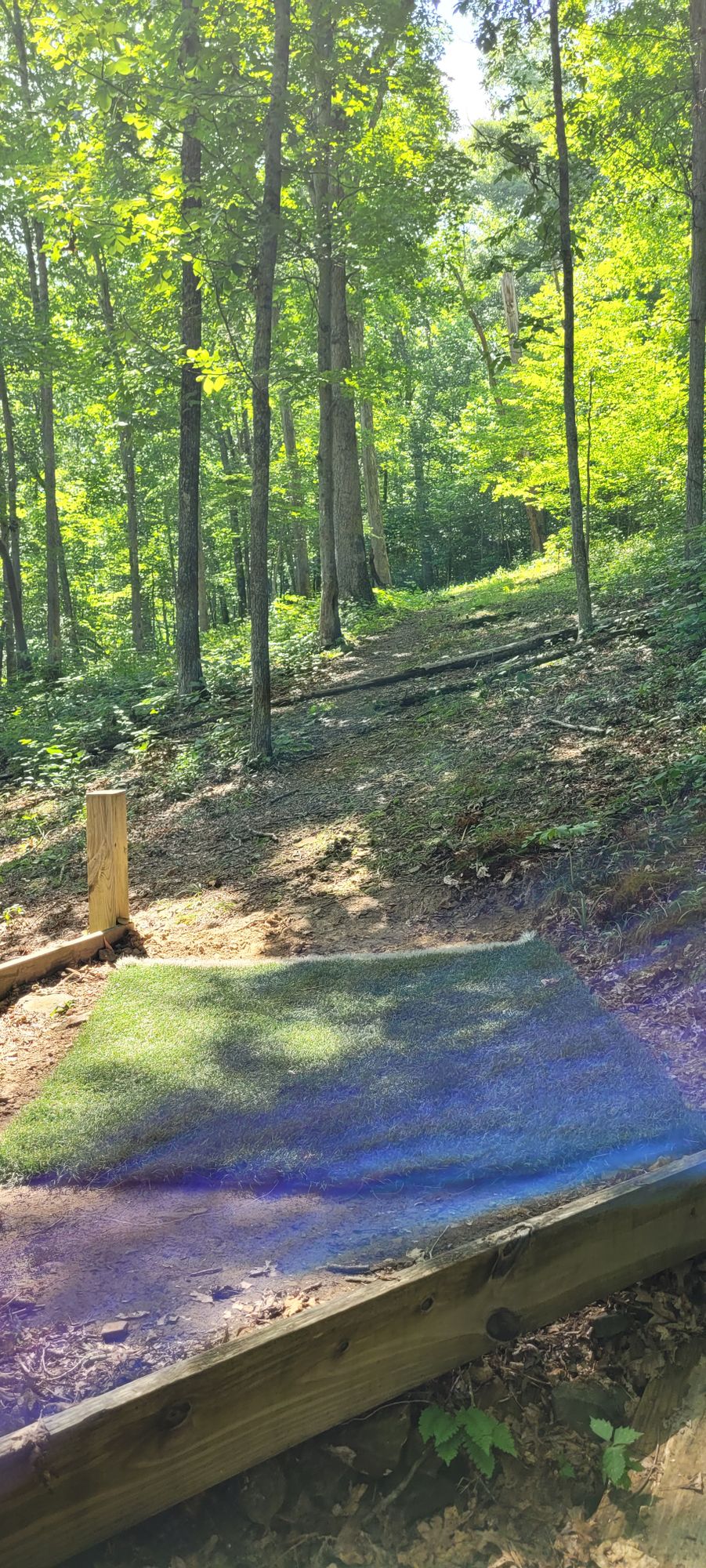 Hole 2