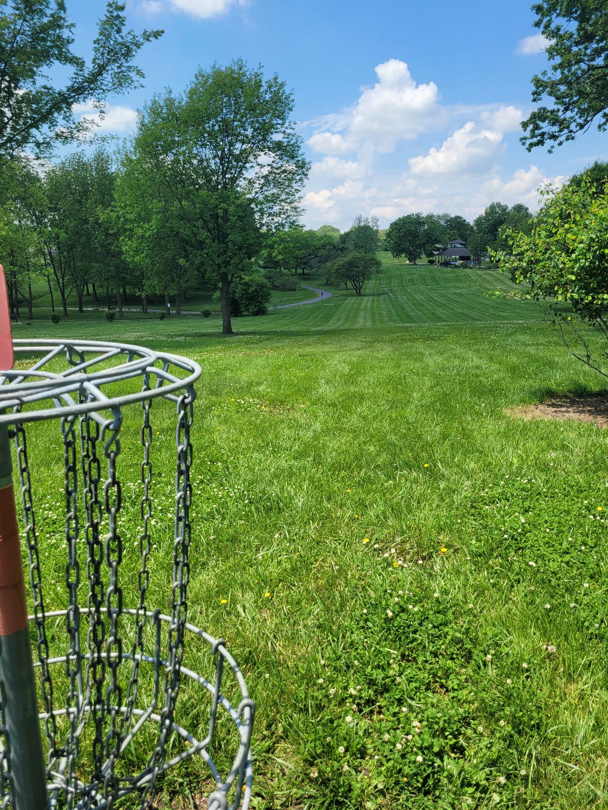 Hole 6 Basket to Tee