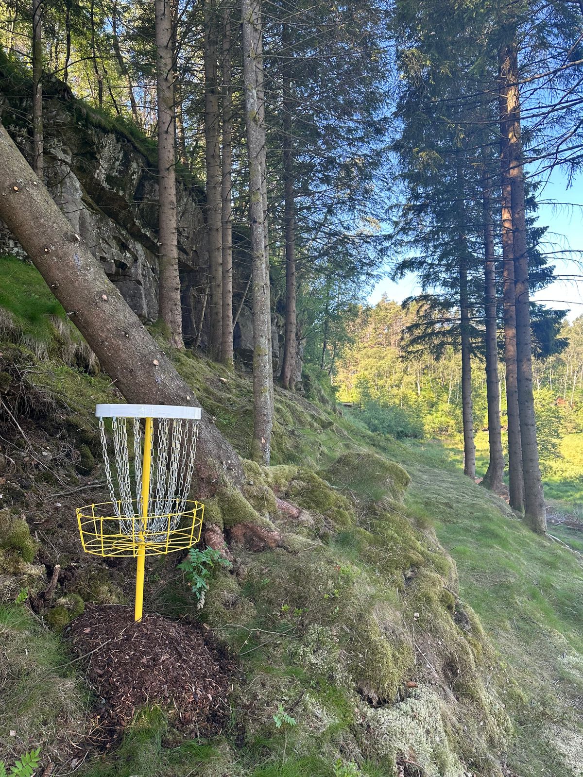 White basket Hole 13