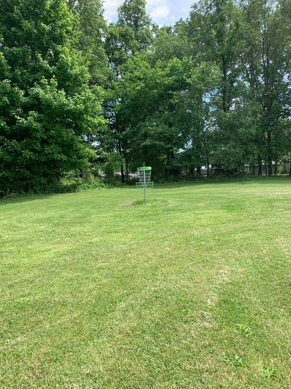 Hole 6 basket