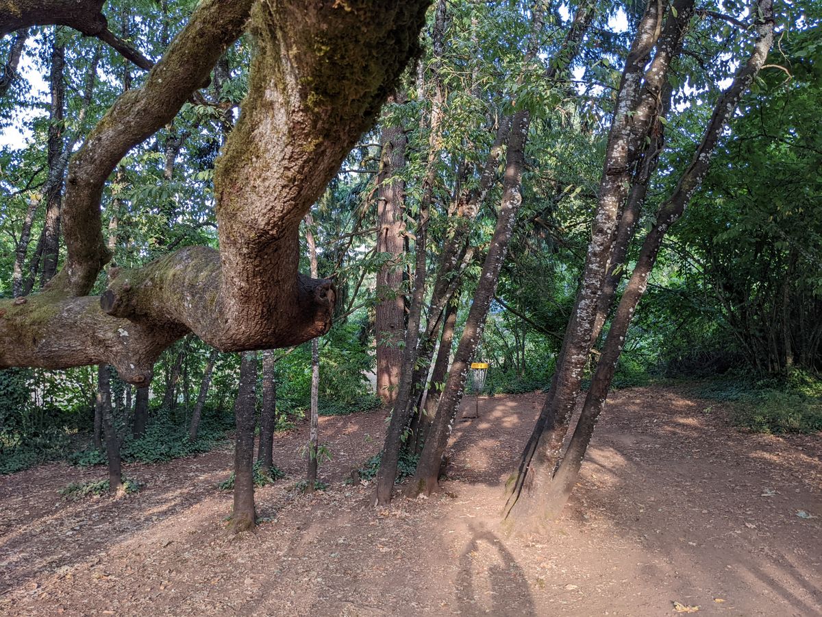 Hole 7 long