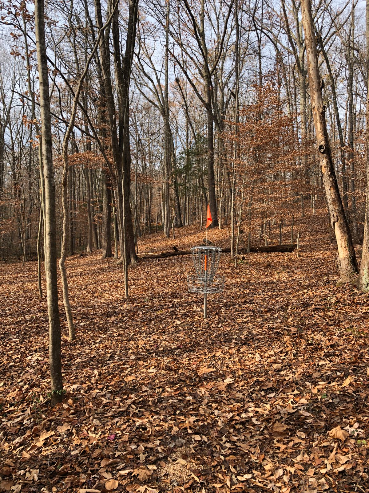 Hole 3 basket (looking back toward tee)