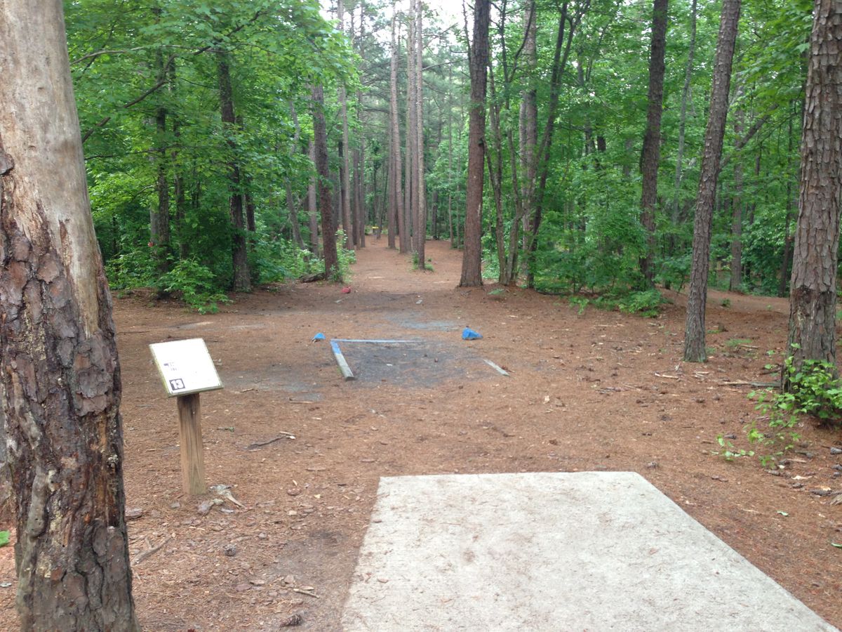 Hole 13 -- long tee