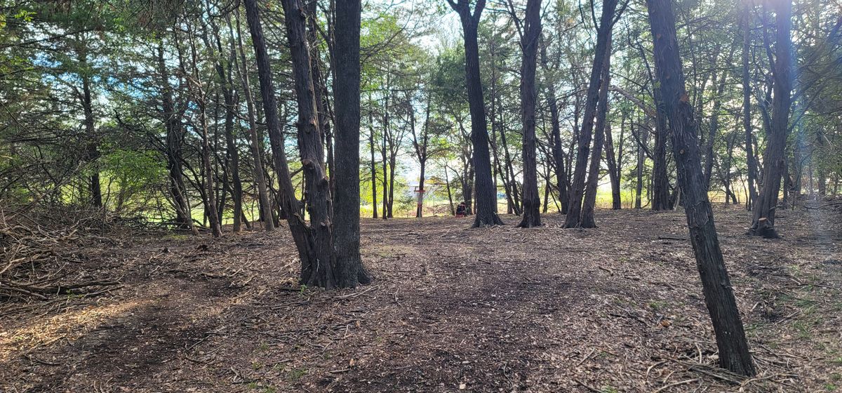 hole 2 fairway