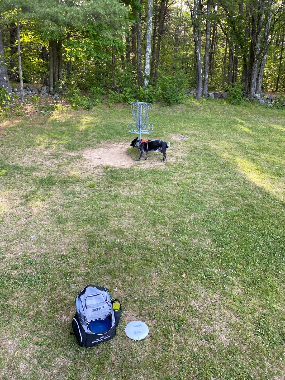 1st green