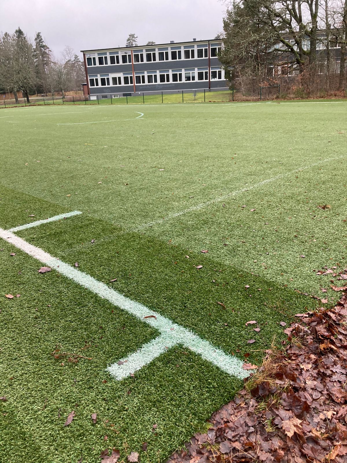 Dz vid pilen på konstgräset