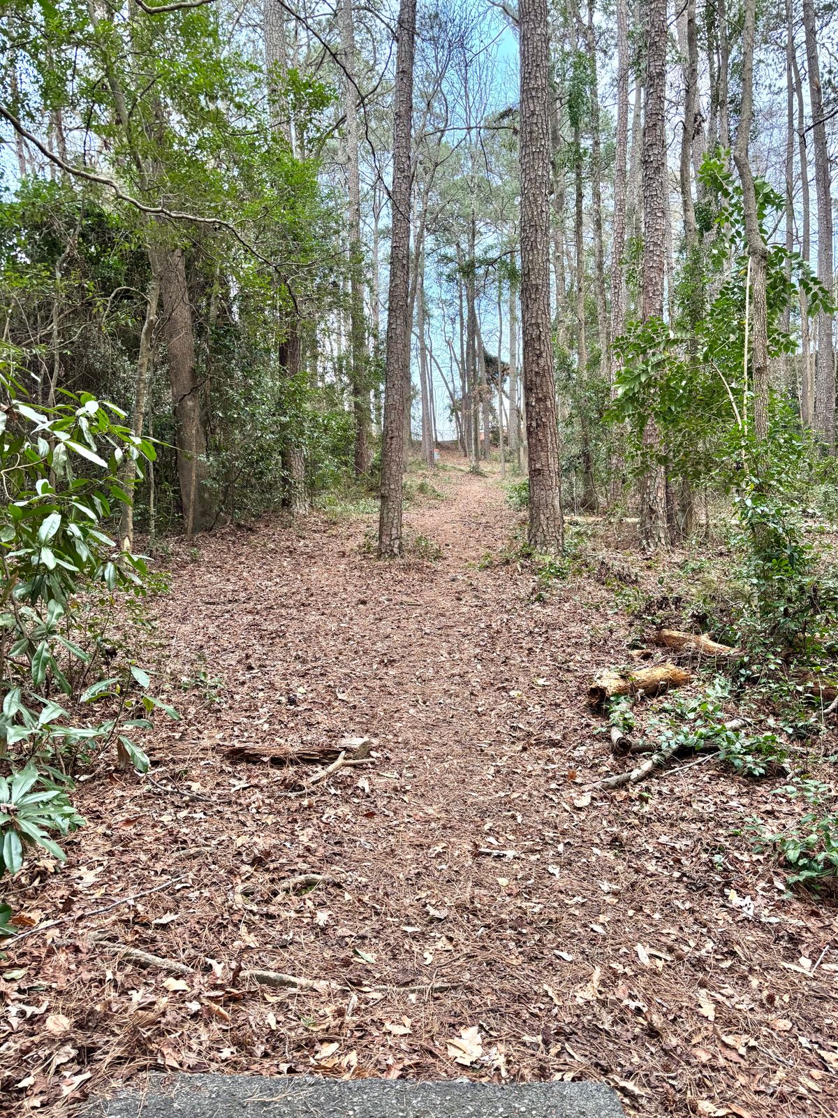 Hole 8 Tee