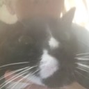 User avatar image