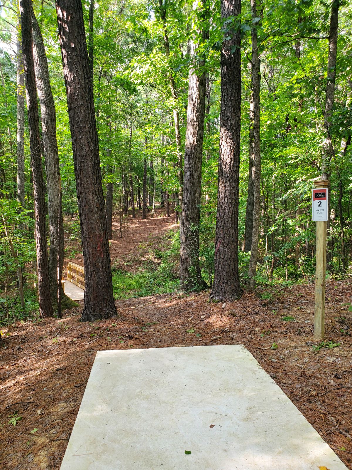 Hole 2 tee