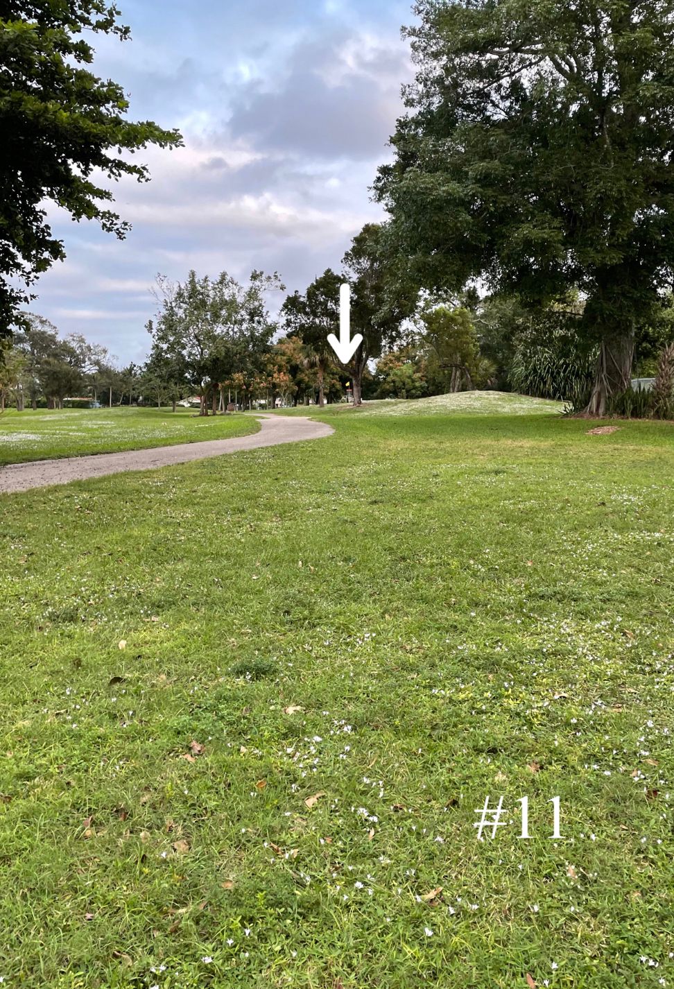 Hole 11, Long Tee