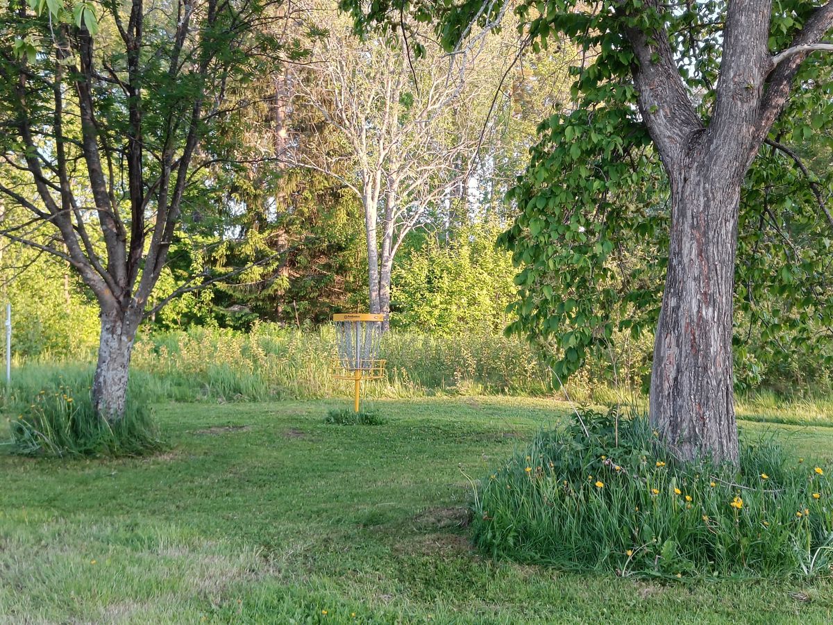 Hole 5 green