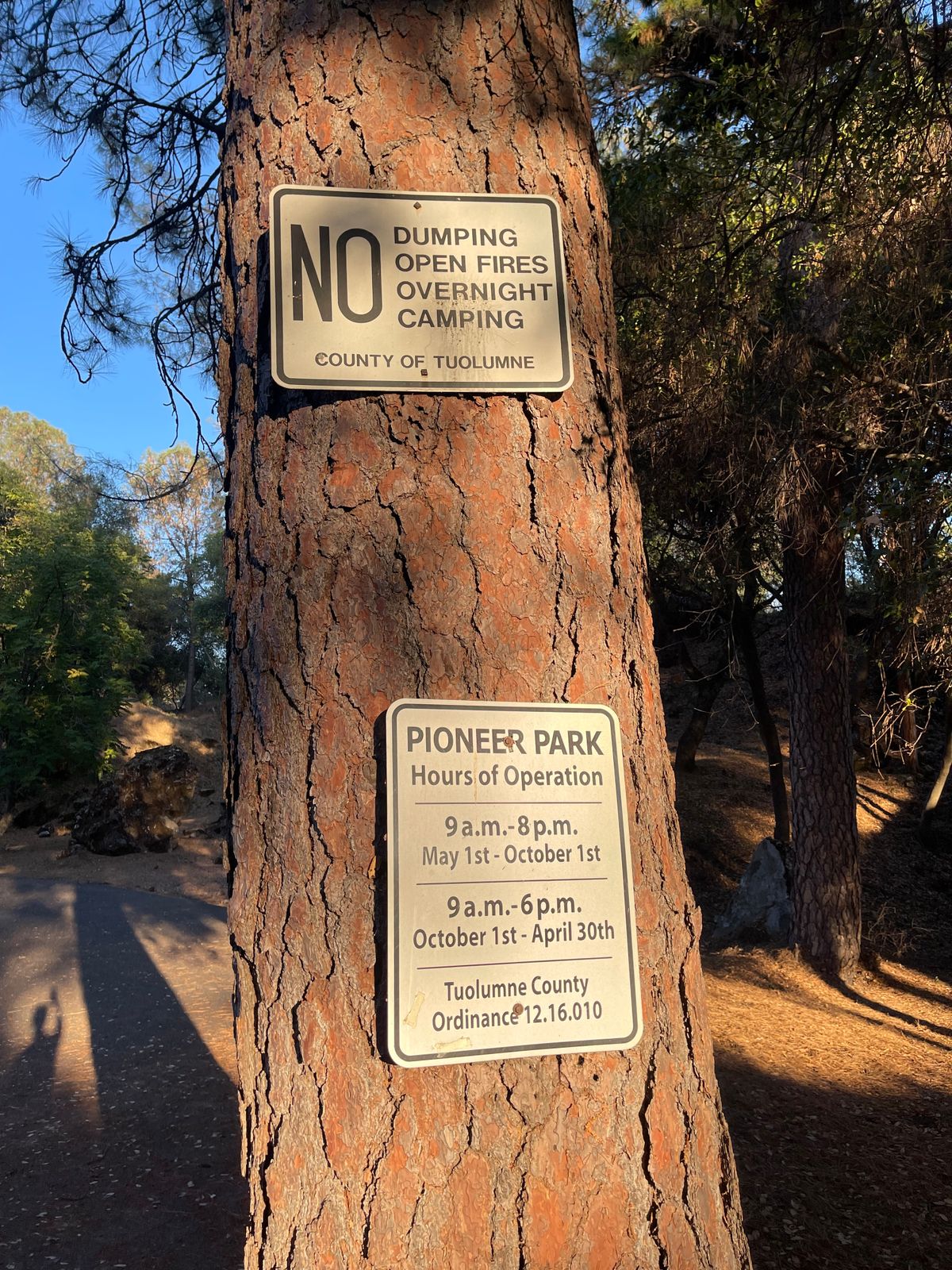 Park hours