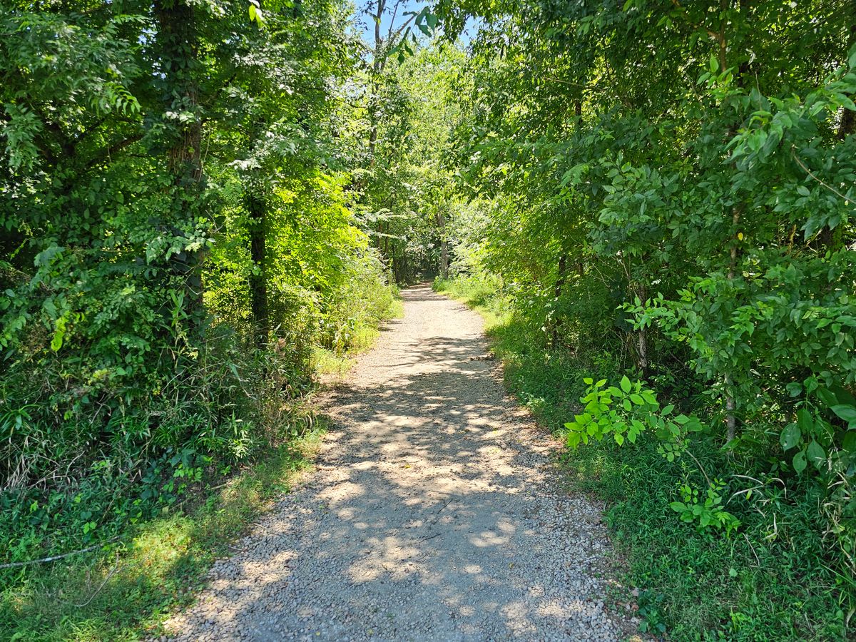 Hole 4's fairway