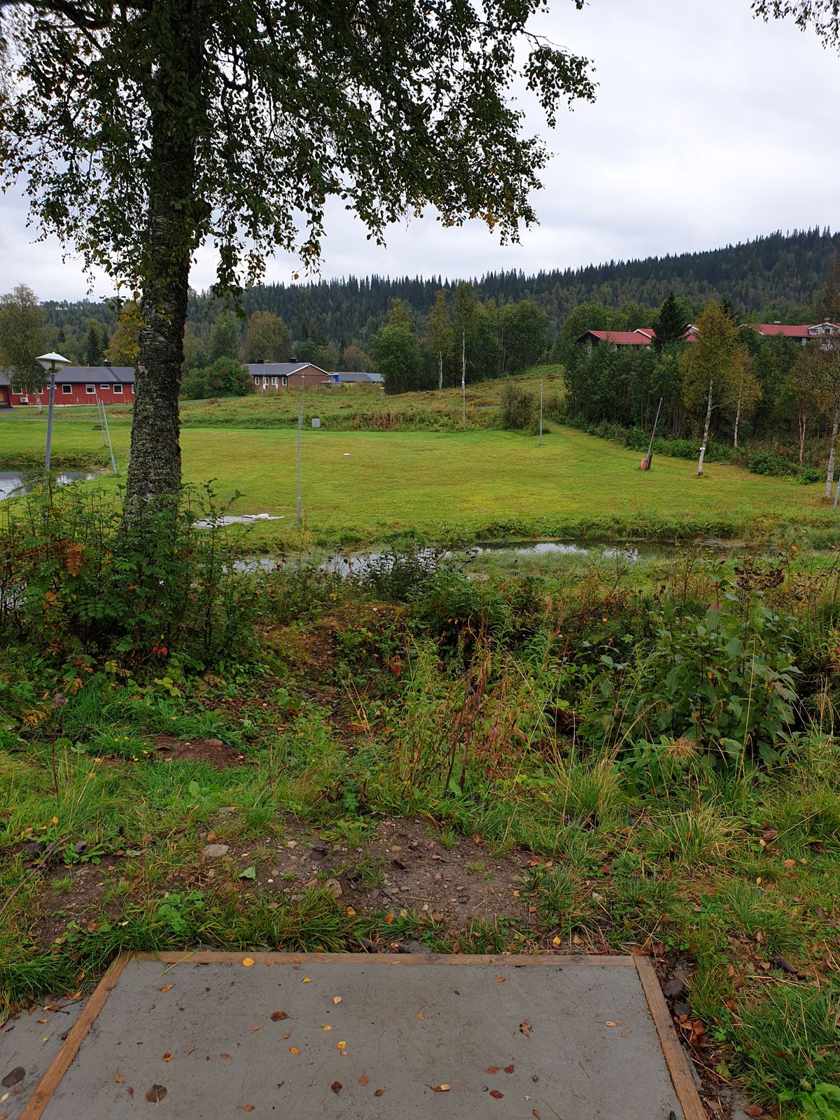 Hole 8 (nice downhill hole)