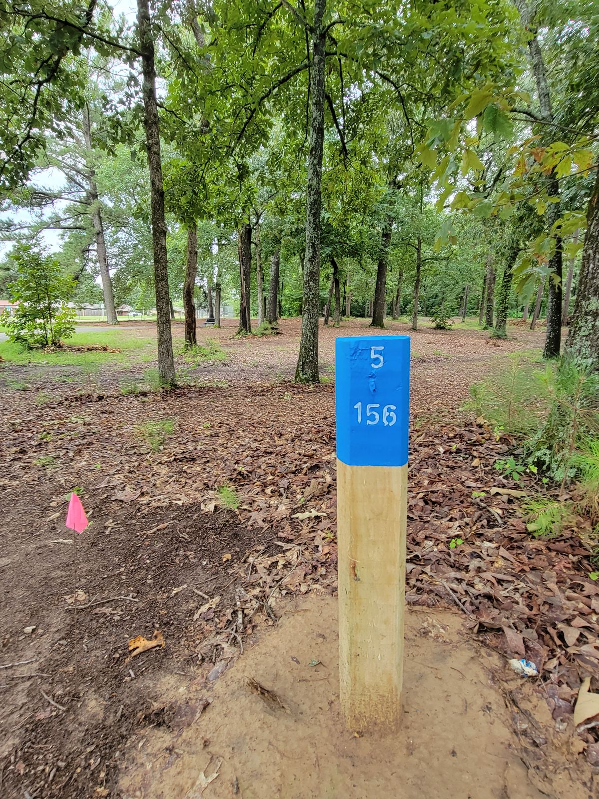 5th tee