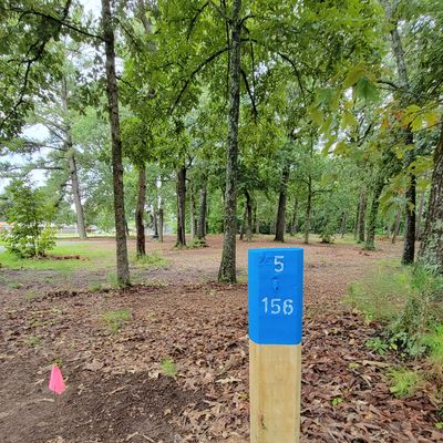 5th tee