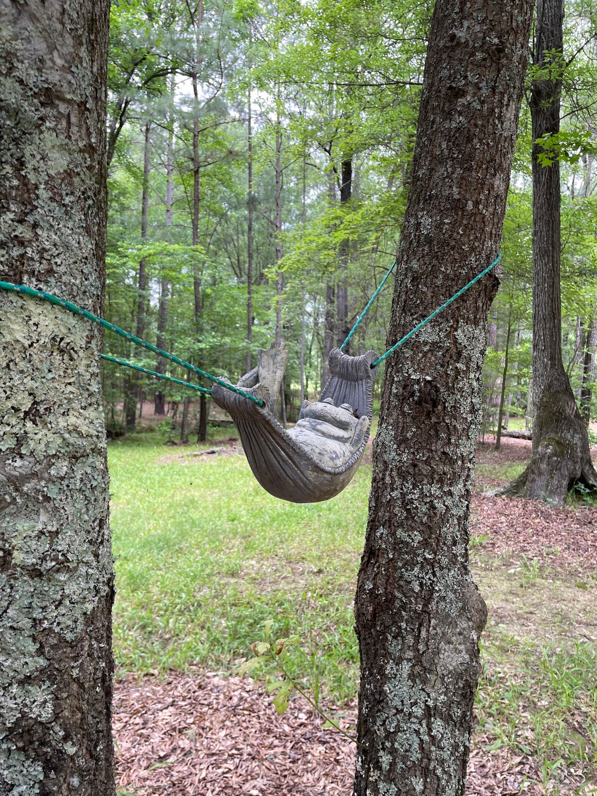Just hangin