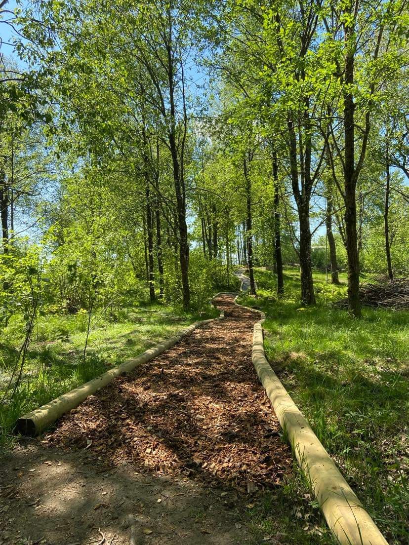 Walking path to tee 17