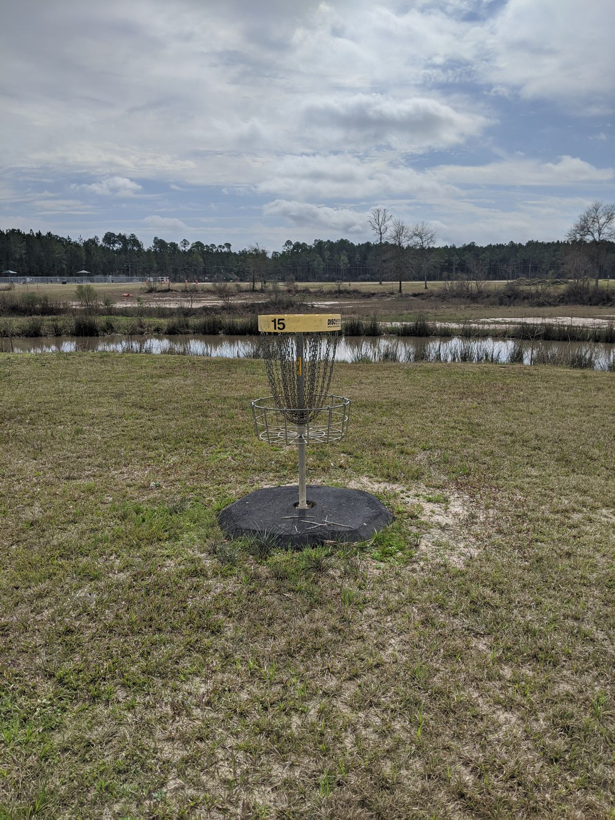 Hole 15 Basket