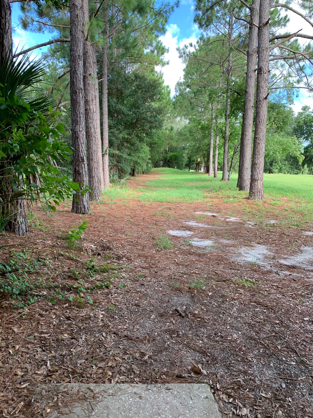 Hole 8