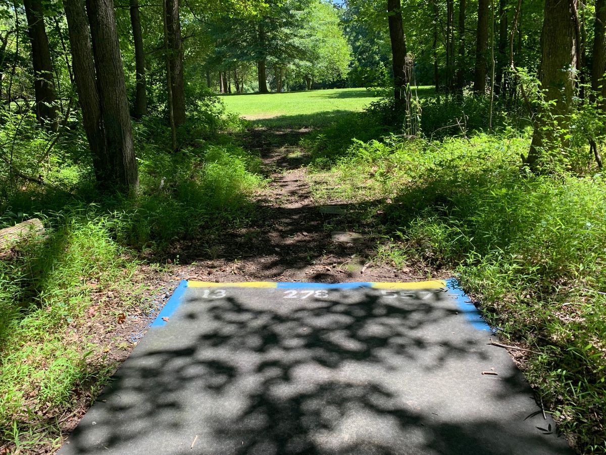 Hole 13 Blue (278’ par 3) and Gold (557’ par 4) shared tee (two baskets)