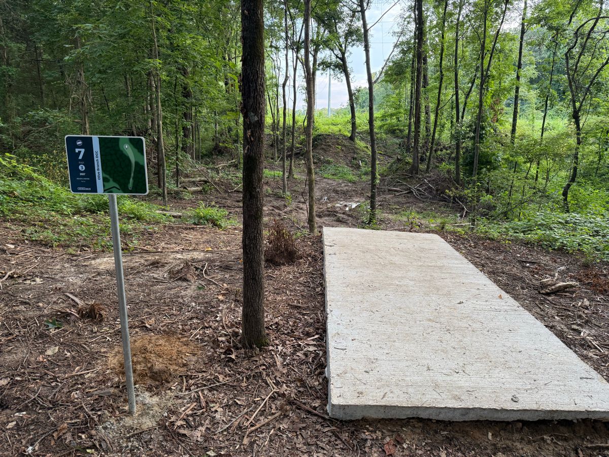 Hole #7