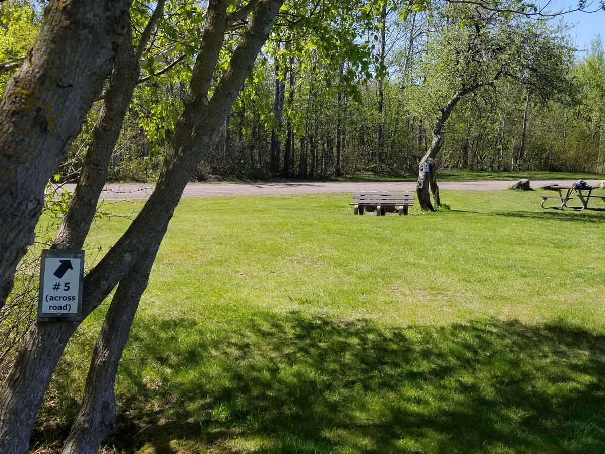 Path (across road) to hole #5