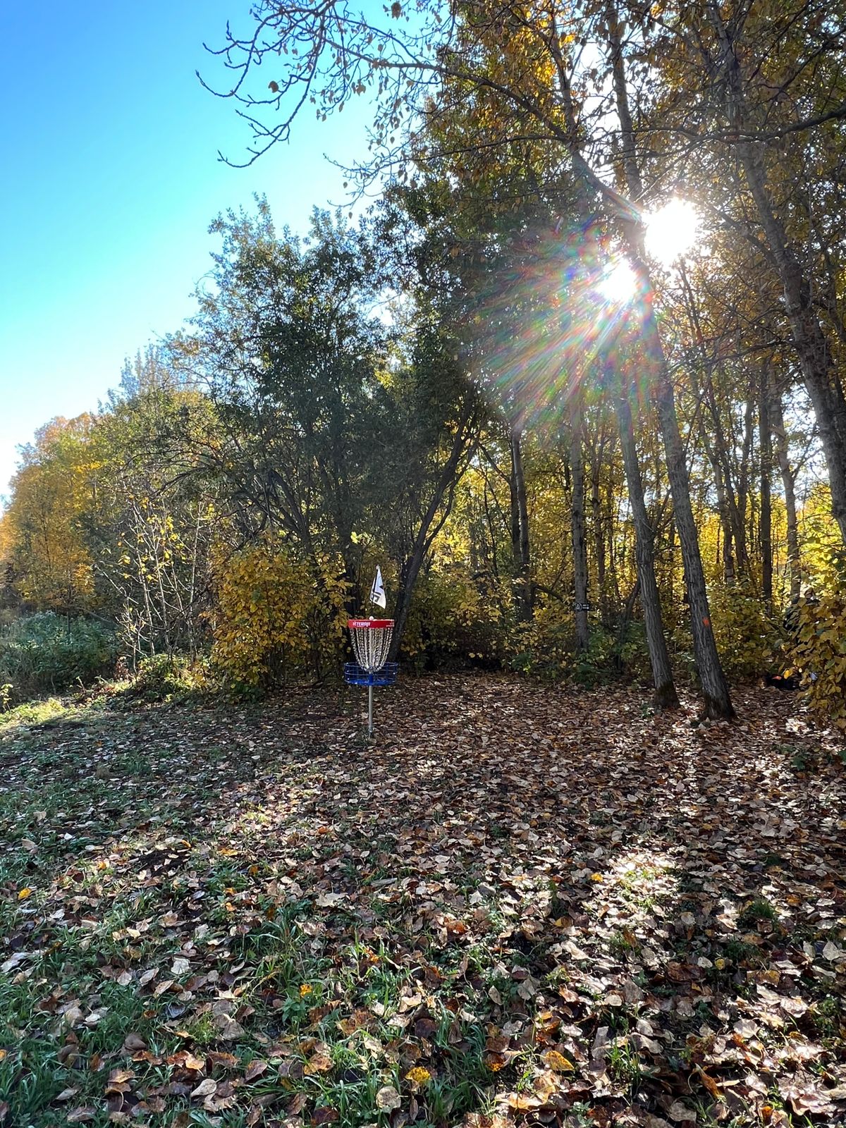 Hole 12 Green