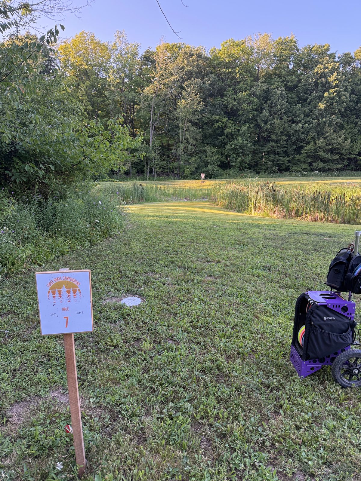 Hole #7 Teepad area