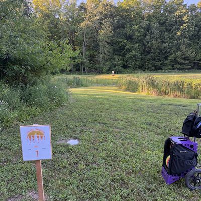 Hole #7 Teepad area