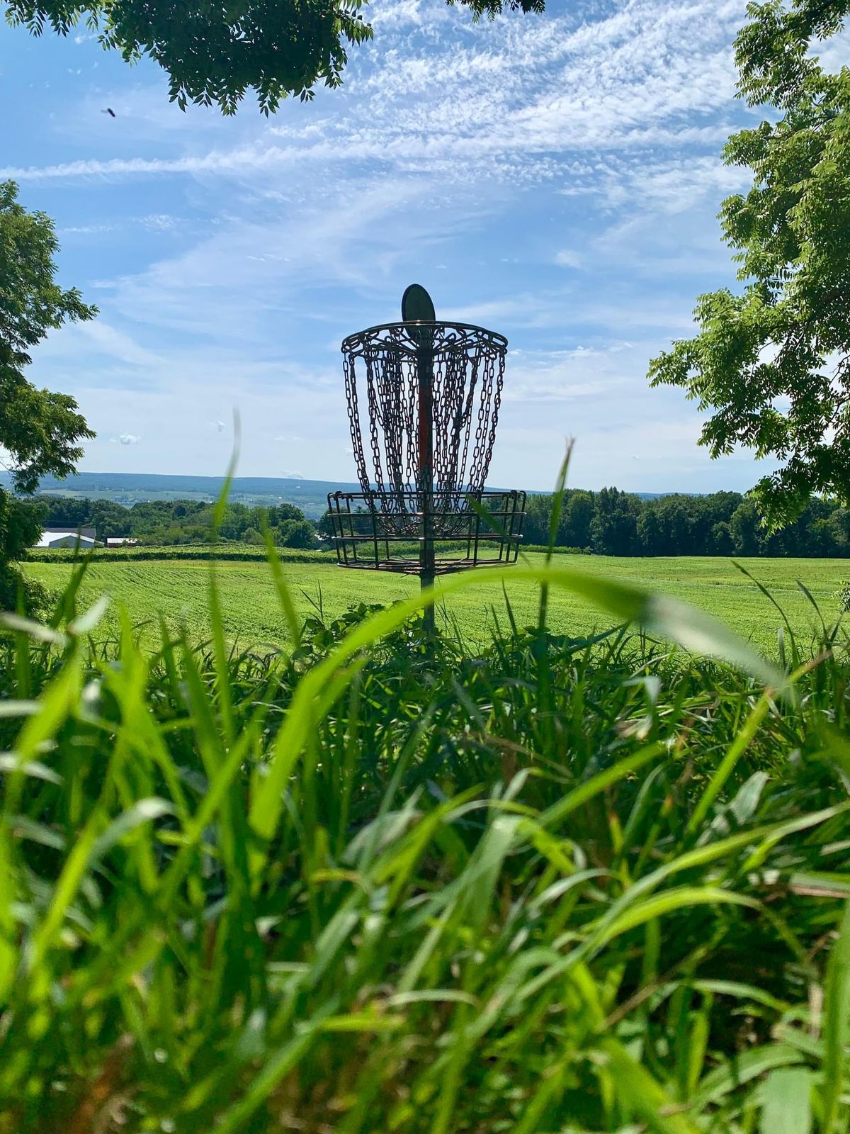 Hole 5 behind the basket
