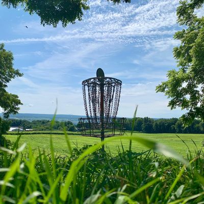 Hole 5 behind the basket
