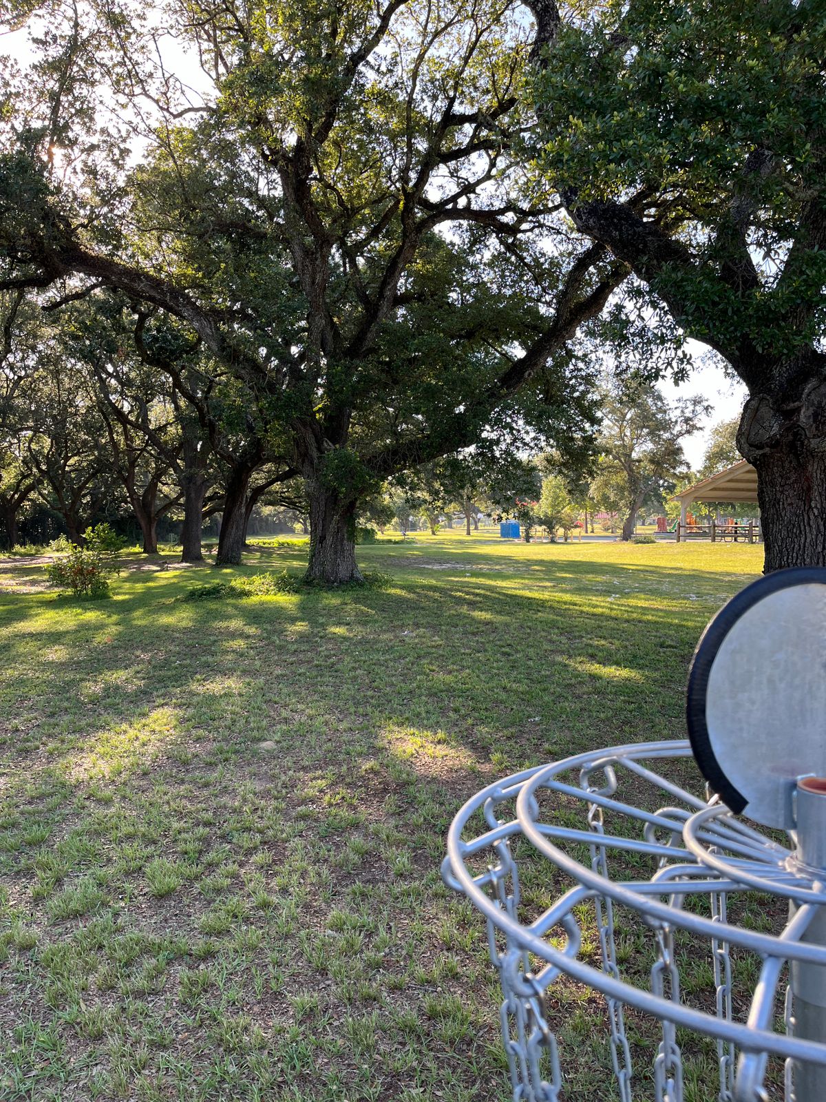 Hole 4 Basket to Tee