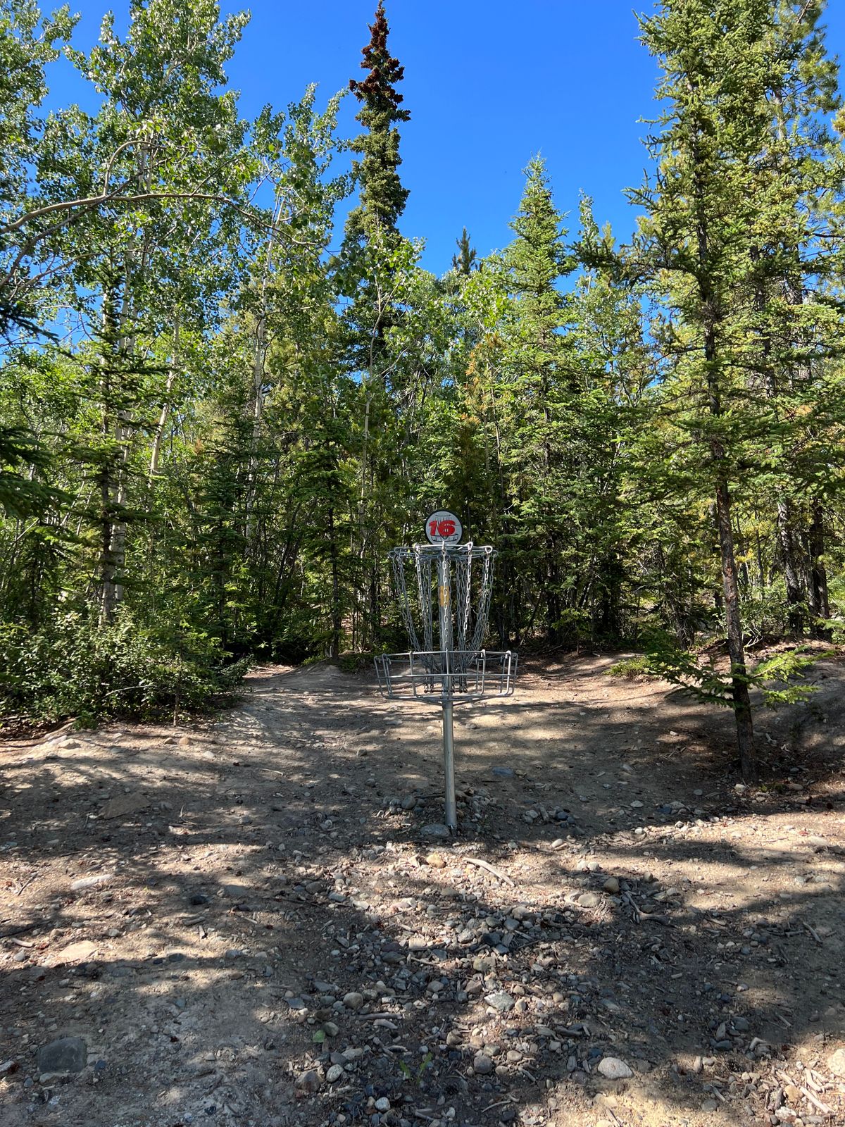 Hole 16 basket